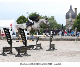 Centre Equestre De Sully image 3