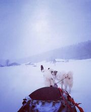 Pécoud Sport image 13