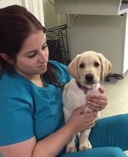 West Park Veterinary Services image 11