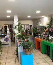 Floraison Fleuriste image 11