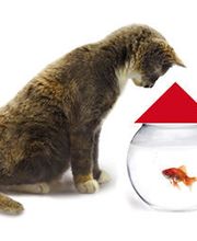 Meyer zu Hücker Die Dachmarke. Bild 4