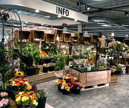 BLUMENABTEILUNG
Blumen sagen mehr als tausend Worte. Und manchmal müssen sie auch gar nichts Besonderes mitteilen, sondern einfach nur mit ihrer Vielfalt und Schönheit erfreuen. Auch in unserer Blumenabteilung im Vorkassenbereich gibt es Schönheiten zu bestaunen. 

Schnittblumen, Topf– und Grünpflanzen, Orchideen sind nur einige davon. Magst du es verspielter, dann hast du sicherlich Freude an den verschiedenen Deko-Artikeln, darunter auch zur jeweiligen Saison passende Ideen. Natürlich gibt es hier auch „Zubehör“ wie Dünger, Erde oder Übertöpfe. Zur Weihnachtszeit legt sich ein Zauber über unsere Blumenabteilung, wenn zum Tannenbaumverkauf eingeladen wird.