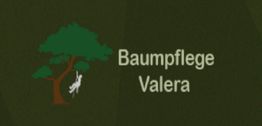Baumpflege-Valera