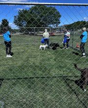 Spa Paw & Tail Premier Pet Resort image 5