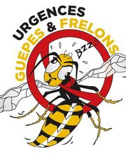 Urgences Guêpes Et Frelons image 2