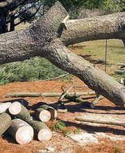 Talon Frères SARL image 5