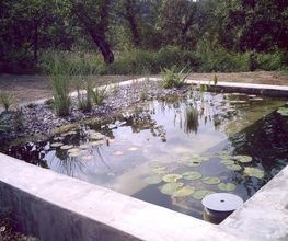 JLS Piscine image 15