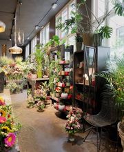 Bluemelade bim Schloss GmbH Bild 1