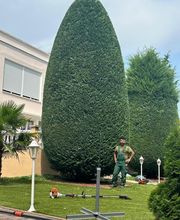 Royal Garden Bild 12