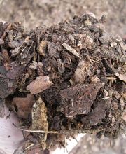 URD Umwelt- und Recycling Bild 9