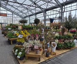 JARDILAND image 17