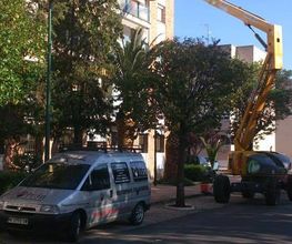 Iván Construcciones y Reformas imagen 6