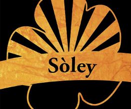 Soley Catering Leipzig Bild 4
