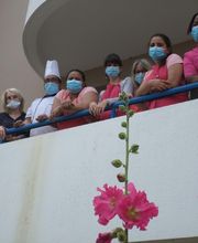 LES JASMINS D'AYTRE image 1