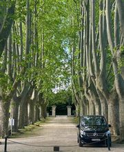 Provence by Flore image 6