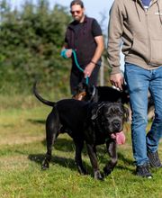 Agil'Canin 36 image 10