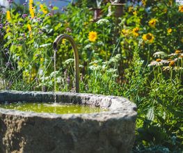 Gartengestaltung Oser AG Bild 1