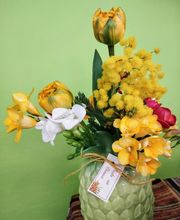 Gallery Cliente