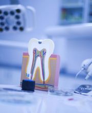 Elsenbruch Florian Zahnarzt Bild 5