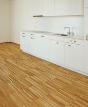 BauPro Altburg Bild 2