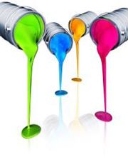 Robert Steve image 2