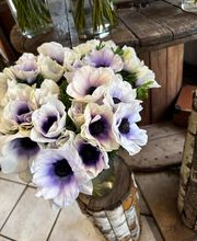 J.Topalian - Artisan Fleuriste image 11