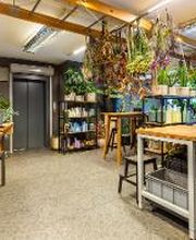 Linder Blumen am Bahnhofplatz in Aarau Bild 2