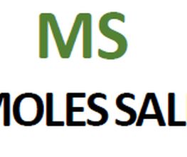 logo_salduba_2018.png