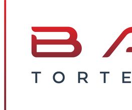BAS Tortechnik GmbH Bild 4