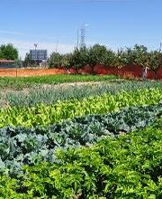 Residencia de Ancianos Jardín, Burgos | VITALIA HOME imagen 1