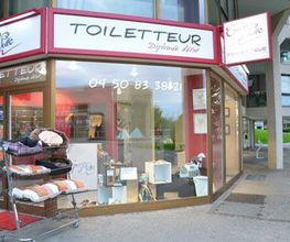 Coup d'Patte image 1