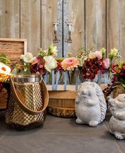 L'ATELIER NATURE ... image 14