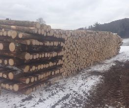 Savary Marc Sàrl Bild 5
