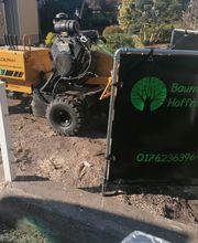 Baumflüsterer Hoffmann Bild 2