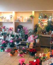 Rosche Carola - Fleurop-Partner Bild 8
