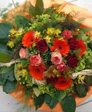 Blumenland Wiedmaier Bild 6