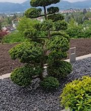 Amalea Garten Bild 7