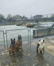 Antho Educanine image 6