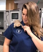 Pompton Lakes Animal Hospital image 4