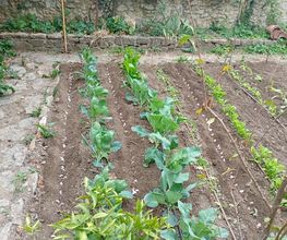 C.Provence paysage image 1