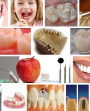 Praxis Dr. Jan Wilz + Dr. Camilla Rollnik Bild 1