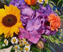 Blumen und Pflanzen Bild 7