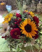 Blumen Kaiser Bild 7