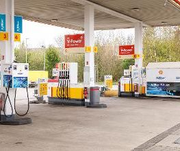 Shell Bild 1