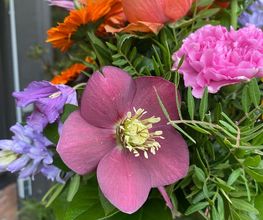 Blumen REIBOLD Bild 2