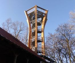 Bayerwald Holzschindeln Bild 5