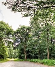 FriedWald Cuxland Bild 9