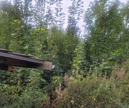 IMG-20251007-WA0035.jpg