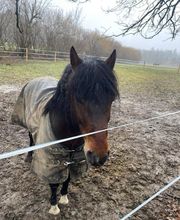 Les Ecuries De Mury image 4