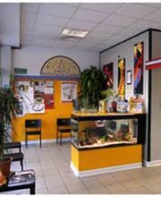 Gallery Cliente